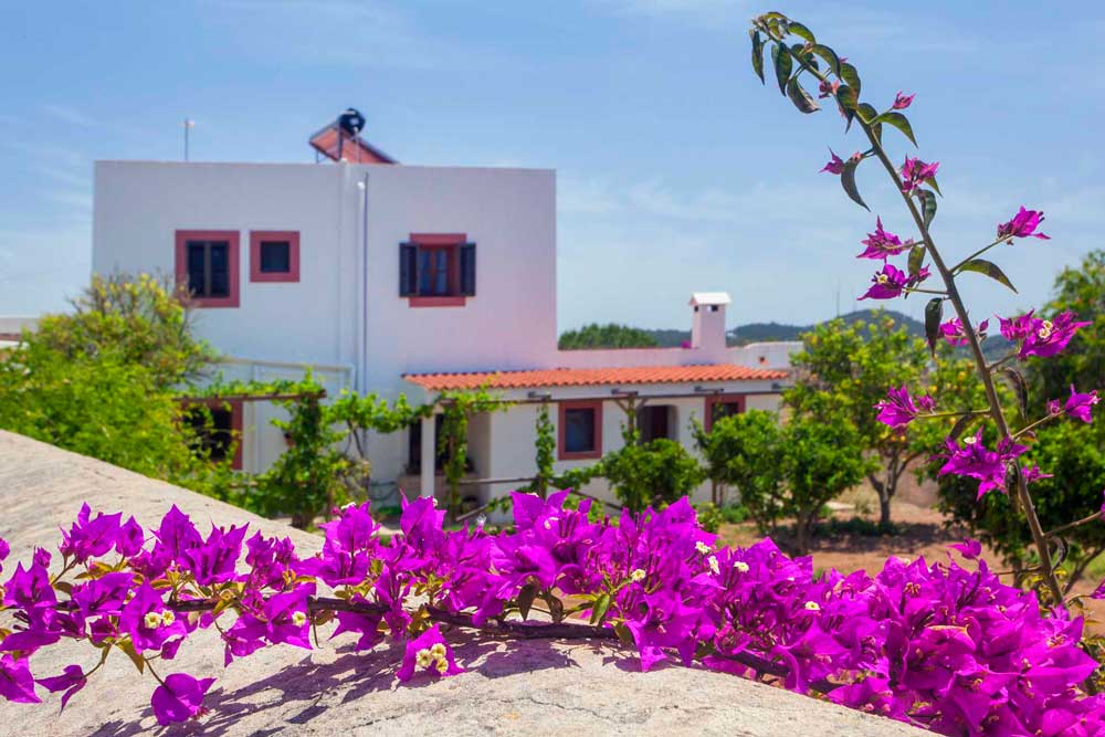 general view of a rental house in ibiza